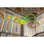 Дизайнерский торшер в виде пальмы Poltronova Sanremo Floor Lamp варинант исполнения - 9 | Loft Concept в Омске