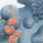 Тканый вручную Большой абстрактный гобелен Frost Forest варинант исполнения - 1 | Loft Concept в Омске