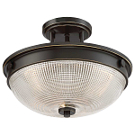 Потолочный светильник со стеклянным плафоном в виде купола Quoizel варинант исполнения - 8 | Loft Concept в Омске