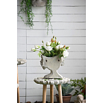 Кашпо Curly baby варинант исполнения - 10 | Loft Concept в Омске