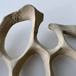 Блюдо «Бежевый коралл» варинант исполнения - 3 | Loft Concept в Омске