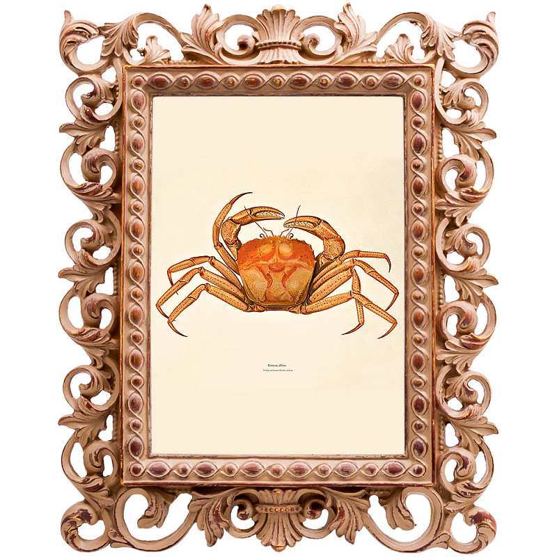 Постер Ocher Crab Poster Бежевый Оранжевый в Омске | Loft Concept 