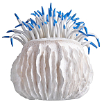 Статуэтка тропический фрукт Tropical Fruit White Blue варинант исполнения - 3 | Loft Concept в Омске