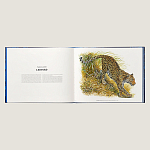 Лимитированная подарочная книга HERMES Fierce and Fragile book, English version варинант исполнения - 3 | Loft Concept в Омске