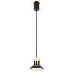 Подвесной светильник Celevis Black варинант исполнения - 2 | Loft Concept в Омске