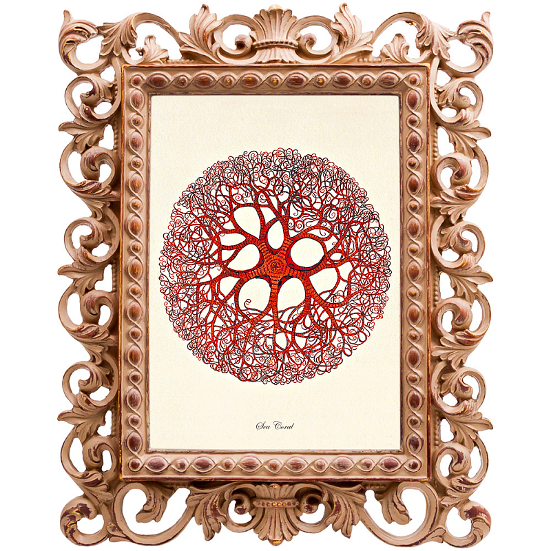 Постер Red Coral Poster 6 Бежевый Красный Постер Red Coral Poster 6 Бежевый Красный в Омске | Loft Concept