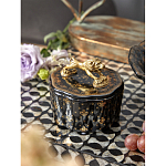 Шкатулка черного цвета с крышкой с фигуркой льва Eden Garden варинант исполнения - 6 | Loft Concept в Омске