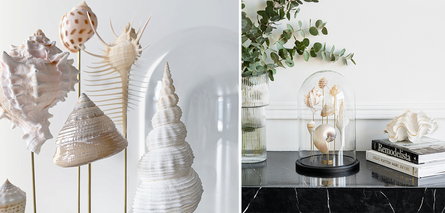 Статуэтка Shell Collection Glass Cloche 1 Статуэтка Shell Collection Glass Cloche 1 - Loft-Concept в Омске