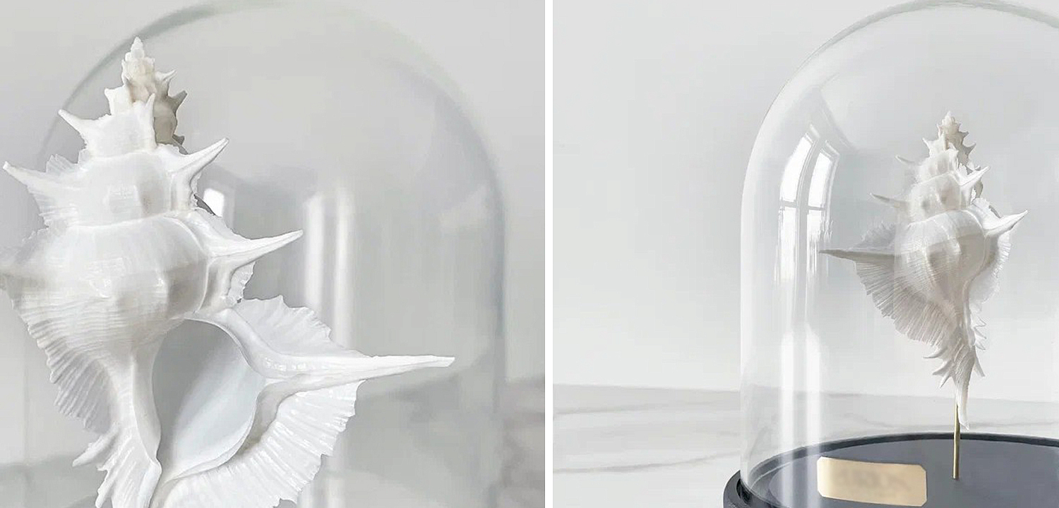 Статуэтка Murex Alabaster Glass Cloche Статуэтка Murex Alabaster Glass Cloche - Loft-Concept в Омске