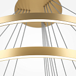 Люстра подвесная Rim 2600-3500К варинант исполнения - 4 | Loft Concept в Омске