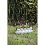 Кашпо Canaries варинант исполнения - 6 | Loft Concept в Омске