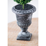 Декоративный искусственное растение Double boxwood варинант исполнения - 7 | Loft Concept в Омске