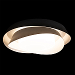 Потолочный светильник круглый черного цвета из металла Vita Cuna варинант исполнения - 1 | Loft Concept в Омске