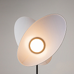 Напольный светильник Evolution 3000К 12Вт варинант исполнения - 5 | Loft Concept в Омске