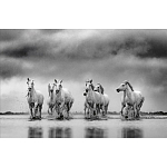 Книга Beusker. Look into my Eyes варинант исполнения - 4 | Loft Concept в Омске