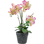 Декоративный искусственное растение Pink orchid варинант исполнения - 5 | Loft Concept в Омске