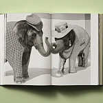 Книга в подарок творческий путь Брюса Вебера Bruce Weber. My Education варинант исполнения - 6 | Loft Concept в Омске