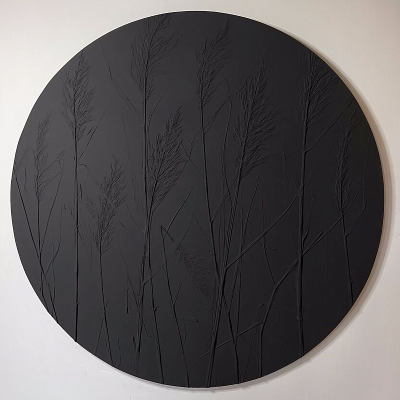 Ботаническое панно Тростник черное Черный в Омске | Loft Concept 