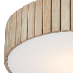 Потолочный светильник круглый светодиодный Contrasting Elements варинант исполнения - 1 | Loft Concept в Омске