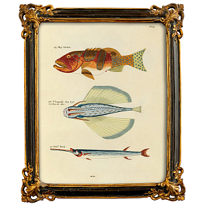 Постер в багетной раме Seabed Print 6