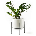 Кашпо из керамики Elevated Planters 32 варинант исполнения - 11 | Loft Concept в Омске