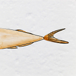 Плитка с узором Рыба Русалка варинант исполнения - 6 | Loft Concept в Омске