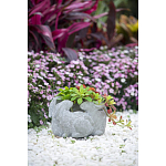 Кашпо A collection of baby rabbits варинант исполнения - 9 | Loft Concept в Омске