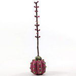 Статуэтка тропический фрукт Pandora Tropical Fruit Tall Pink Green варинант исполнения - 3 | Loft Concept в Омске