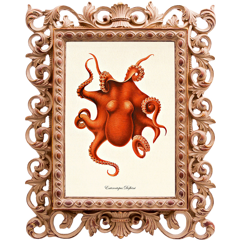 Постер Red Octopus Poster Бежевый Красный в Омске | Loft Concept 