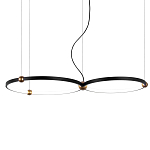 Люстра подвесная светодиодная черный металл Ring Horizontal варинант исполнения - 8 | Loft Concept в Омске