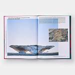 Radical Architecture of the Future варинант исполнения - 4 | Loft Concept в Омске