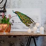 Постер на холсте с изображением павлина на ветке Majestic Peacock on a Tree Poster варинант исполнения - 2 | Loft Concept в Омске