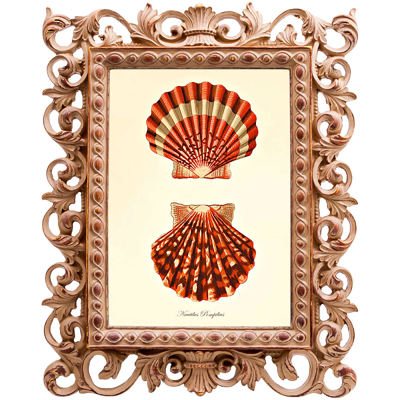 Постер Red Scallop Poster Бежевый Красный в Омске | Loft Concept 