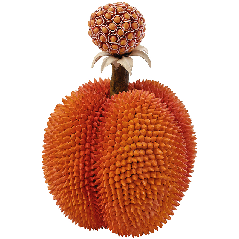 Статуэтка тропический фрукт Tropical Fruit Orange Prickly Berry Оранжевый Статуэтка тропический фрукт Tropical Fruit Orange Prickly Berry Оранжевый в Омске | Loft Concept