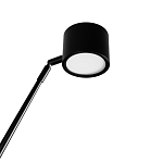 Торшер с изогнутой черной металлической стойкой и цилиндрическим плафоном Davide Groppi варинант исполнения - 10 | Loft Concept в Омске