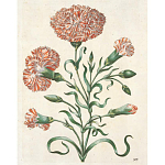 Книга цветов 22 постера Maria Sibylla Merian: 22 Pull-Out Posters варинант исполнения - 4 | Loft Concept в Омске