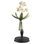 Статуэтка Wonderboom варинант исполнения - 1 | Loft Concept в Омске