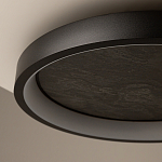 Потолочный светильник Orign 3000К варинант исполнения - 5 | Loft Concept в Омске