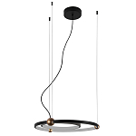 Люстра подвесная светодиодная черный металл Ring Horizontal варинант исполнения - 2 | Loft Concept в Омске