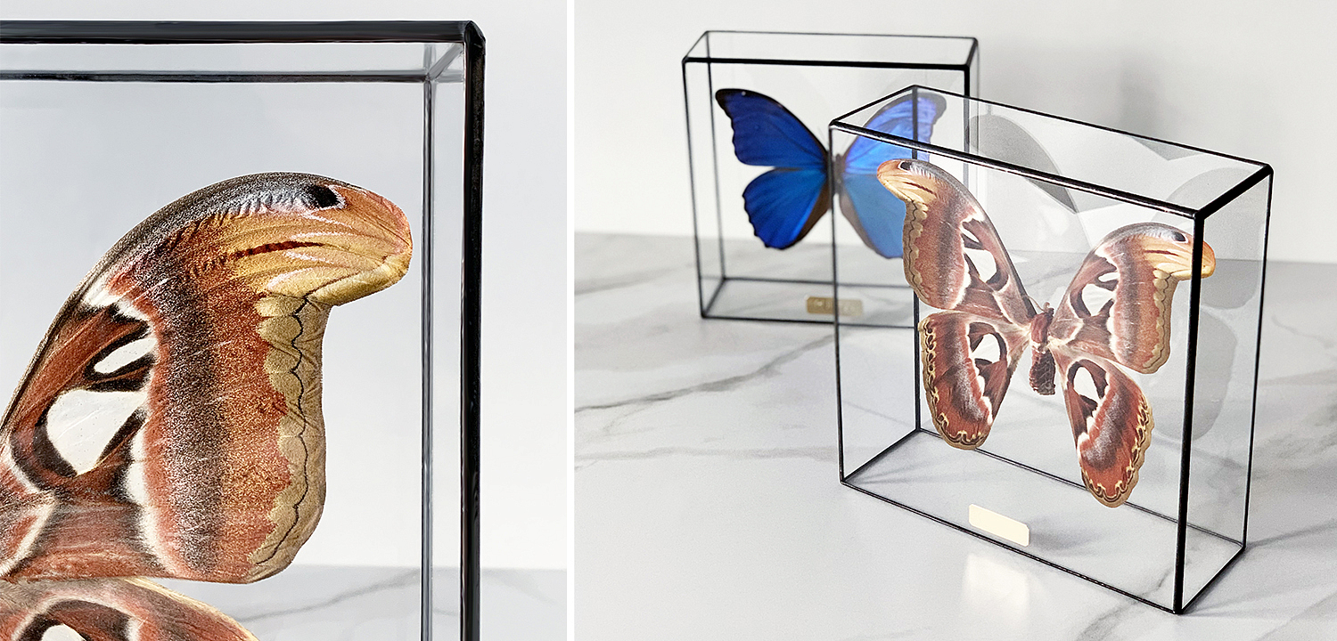 Статуэтка Butterfly Atlas Glass Box Статуэтка Butterfly Atlas Glass Box - Loft-Concept в Омске
