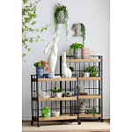 Кашпо Curly baby варинант исполнения - 4 | Loft Concept в Омске