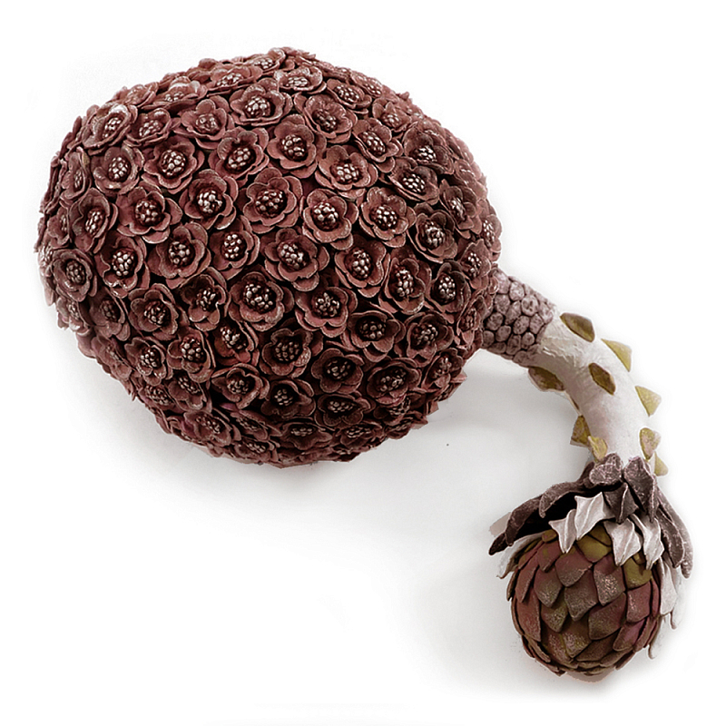 Коричневый фрукт Exotic Fruit Artichoke Brown 42 Коричневый Коричневый фрукт Exotic Fruit Artichoke Brown 42 Коричневый в Омске | Loft Concept