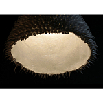 Светильник Acus варинант исполнения - 3 | Loft Concept в Омске