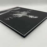 Коллекционная редкая книга Madonna: Nudes + by Martin H.M. Schreiber 2017 Букинистика варинант исполнения - 4 | Loft Concept в Омске