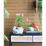 Кашпо A collection of baby rabbits варинант исполнения - 5 | Loft Concept в Омске