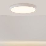 Потолочный светильник Incognito 2700-4000К 46Вт варинант исполнения - 2 | Loft Concept в Омске