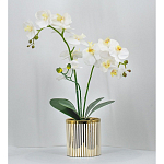 Декоративный искусственное растение Lush Orchid варинант исполнения - 2 | Loft Concept в Омске