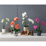 Декоративный искусственное растение Pink orchid варинант исполнения - 11 | Loft Concept в Омске