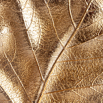 Статуэтка Metal Flowers Gold Black powder варинант исполнения - 2 | Loft Concept в Омске