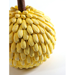 Статуэтка тропический фрукт Pandora Tropical Fruit Yellow Emerald Flower варинант исполнения - 2 | Loft Concept в Омске